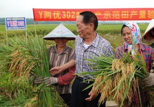 袁隆平 农业补贴农民根本拿不到,提高粮食收购价才是真理