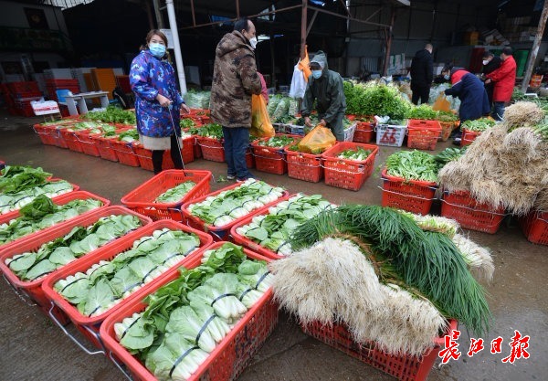 白沙洲农副产品市场物资充足 | 图集