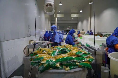 建水防疫复产两不误 企业奋战 开门红