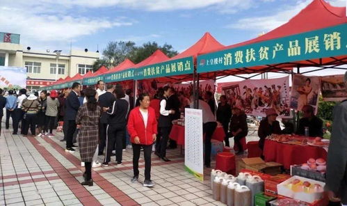 旬邑持续发力巩固脱贫成果 全面推进乡村振兴