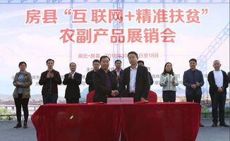 房县电商扶贫两天销售农副产品713万元