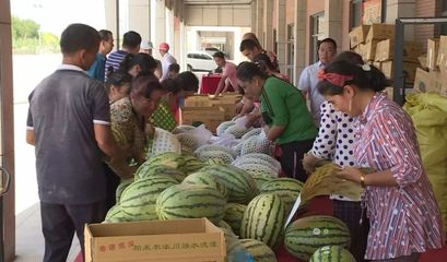 必须点赞!新疆西瓜滞销,白云人组团选购逾1.5万个